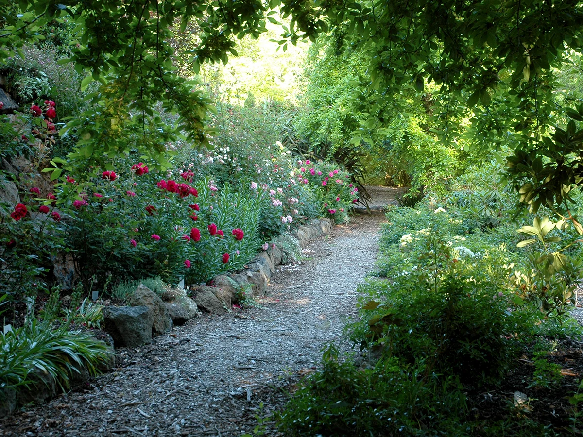 Pathways_Withycombe_3 rosewalk.jpg