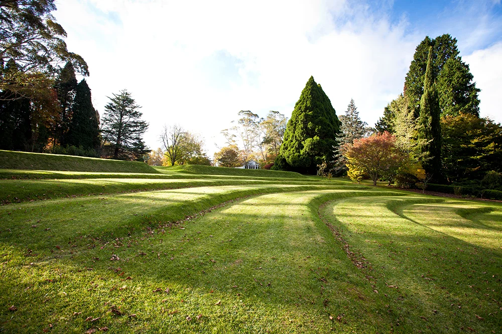 withycombe amphitheatre.jpg