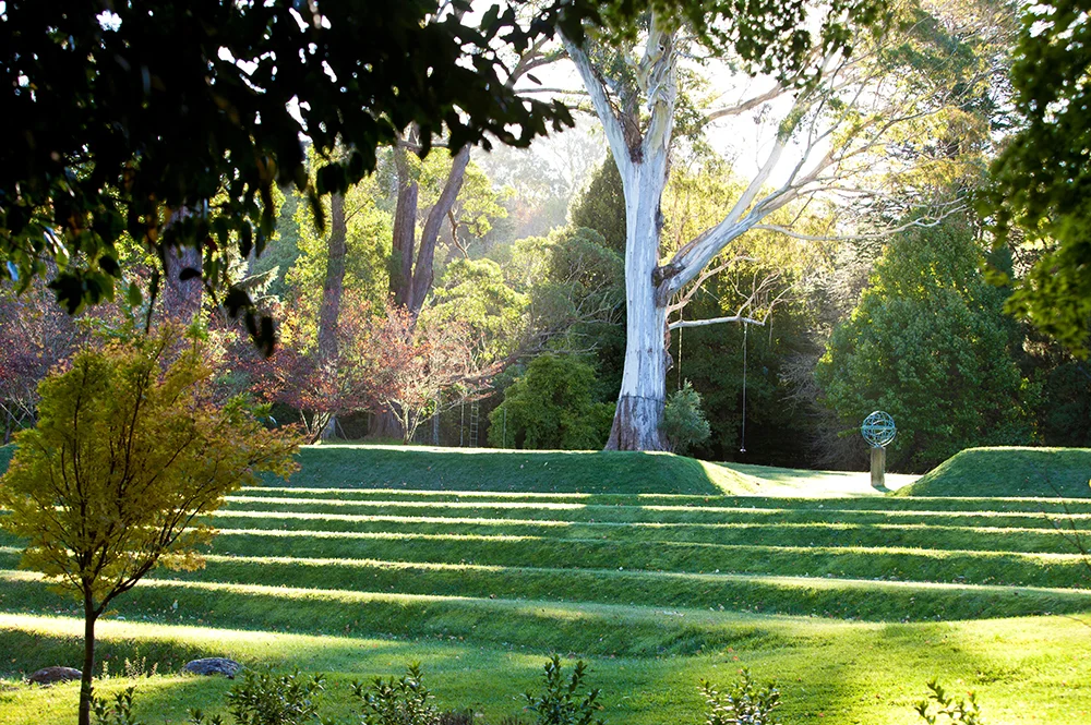 withycombe amphitheatre 2.jpg