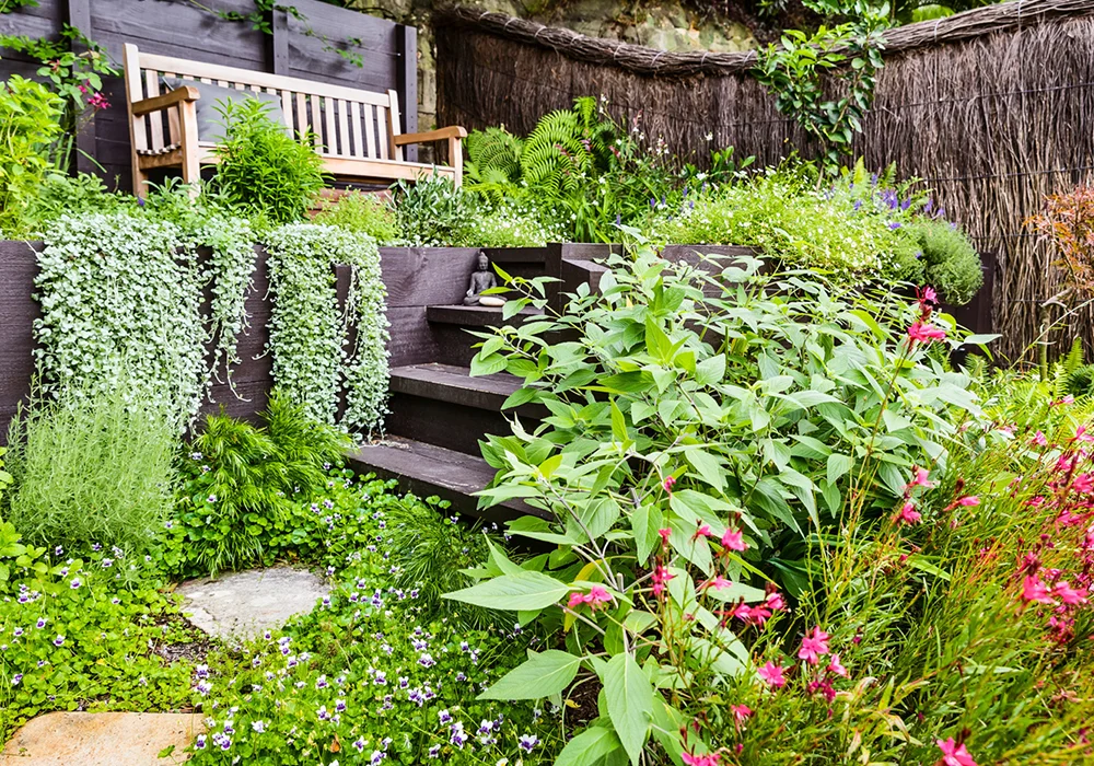 clovelly_web3-1 copy.jpg