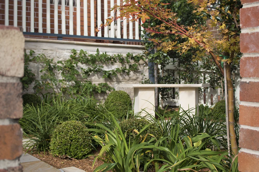 Casarotti Web - full2.jpg