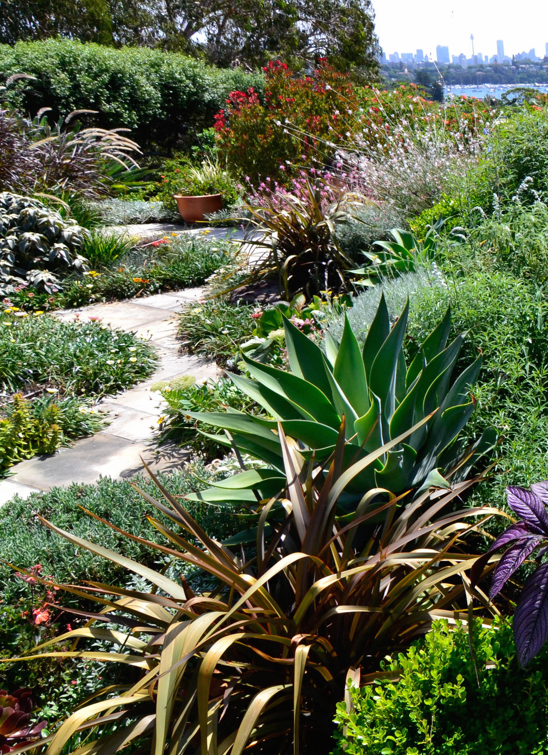 Rose Bay thumbnail.jpg