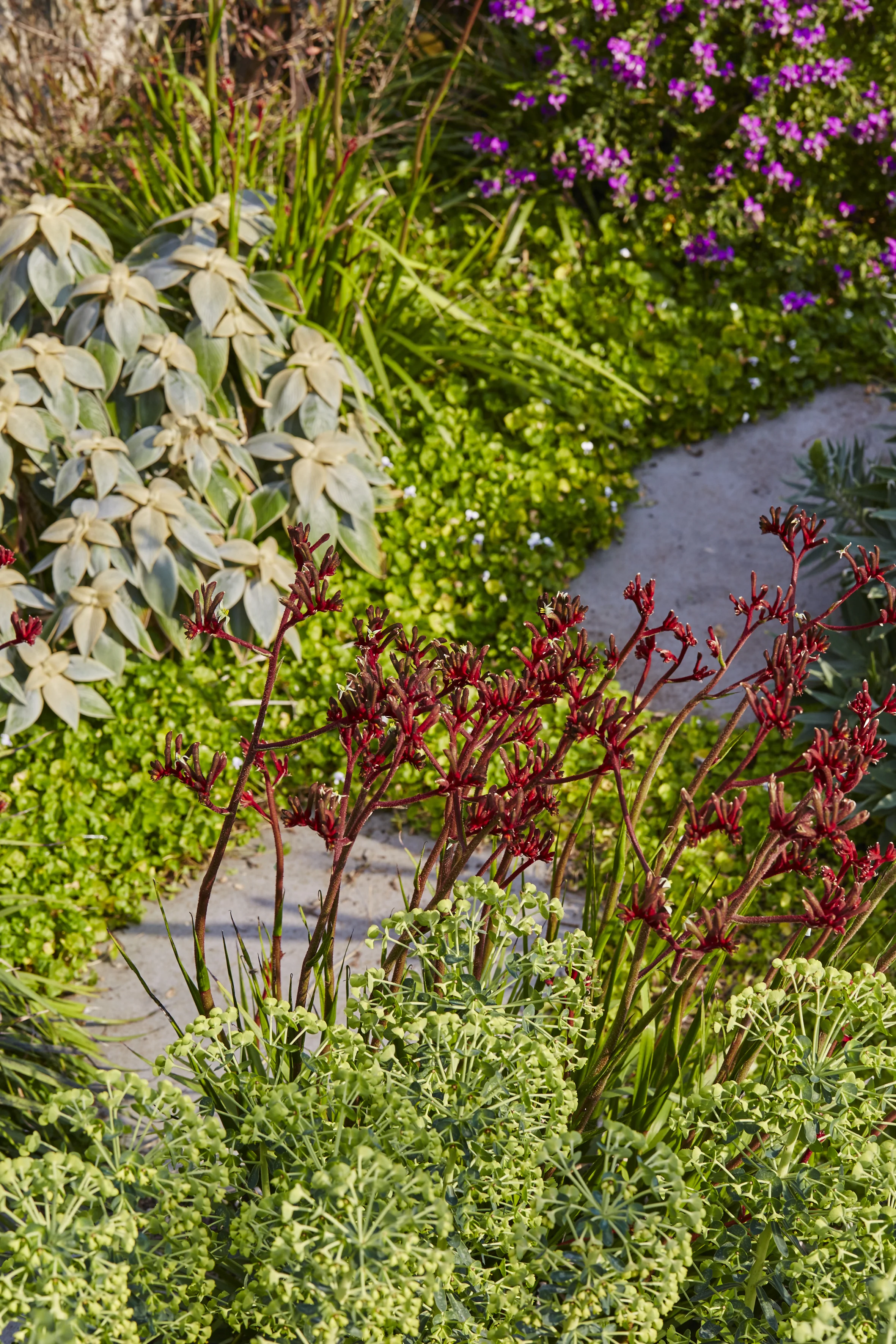 LandsbergBronteLewisStevensonPhotograpy 51.jpg