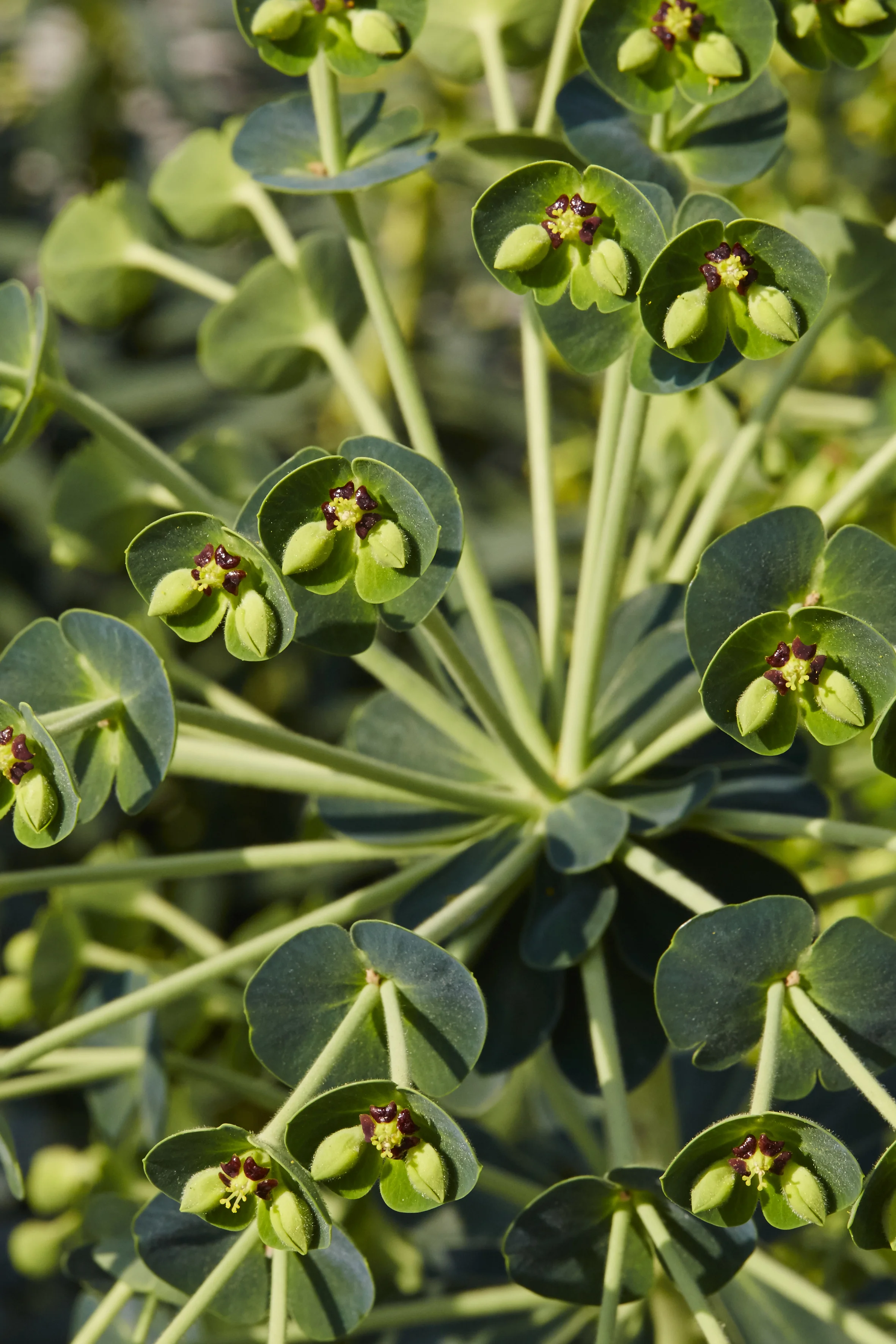 LandsbergBronteLewisStevensonPhotograpy 57.jpg