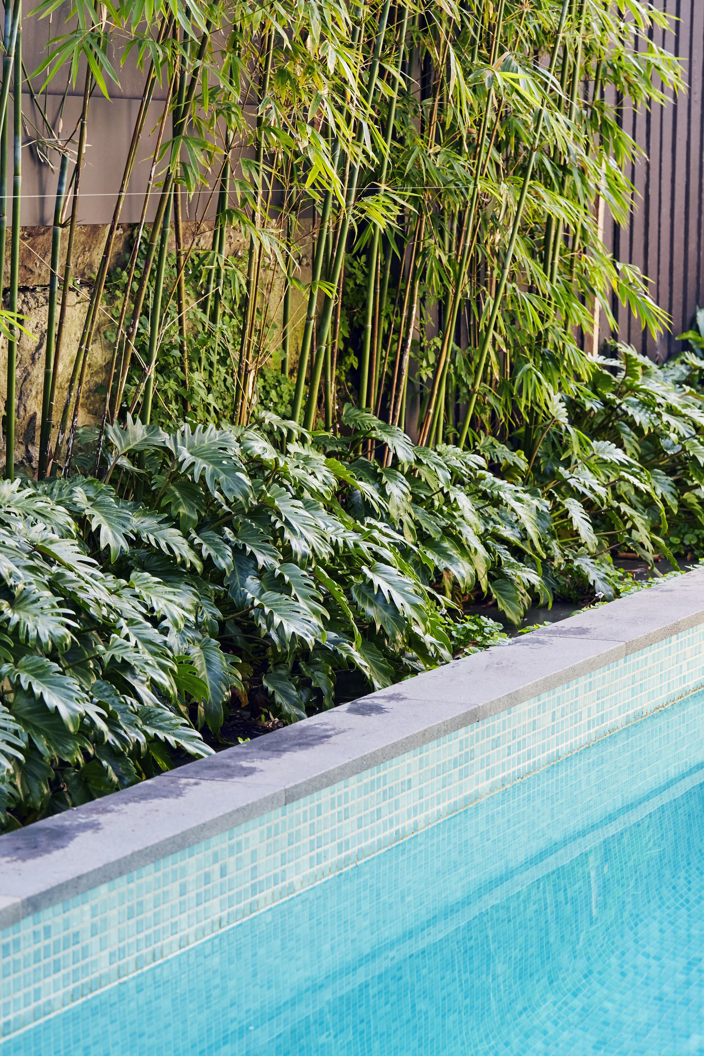 LandsbergBronteLewisStevensonPhotograpy 5 - refresh?.jpg