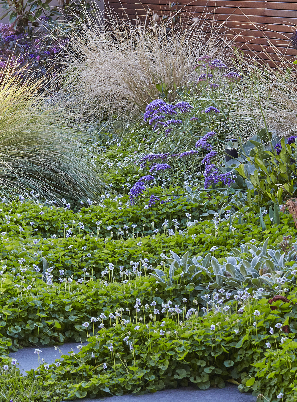 CastleCoveLewisStevenson 6-2.jpg