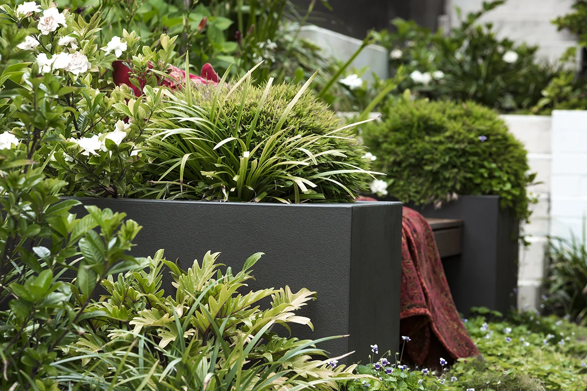 ST_THOMAS_ST_CLOVELLY_000240 -2.jpg