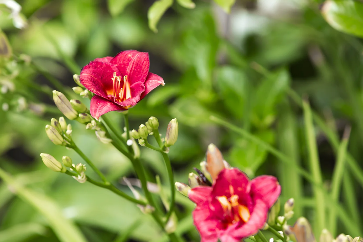 ST_THOMAS_ST_CLOVELLY_000231 DONE.jpg