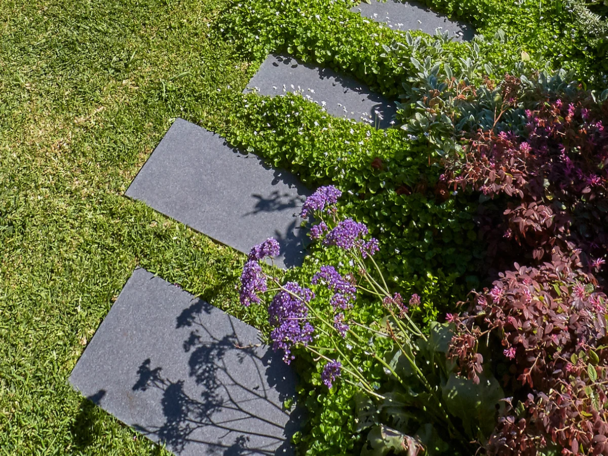 Walk this way castle cove.jpg