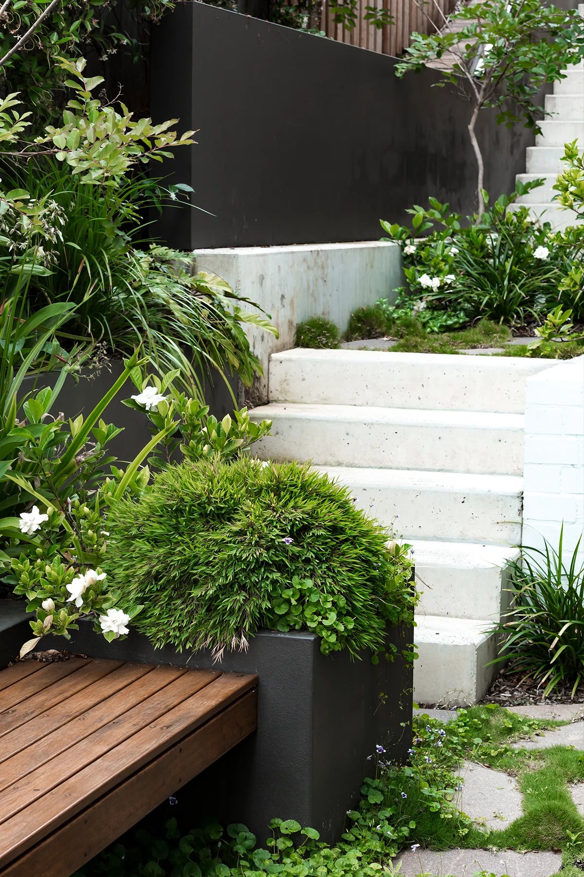 walk this way castle cove2 .jpg