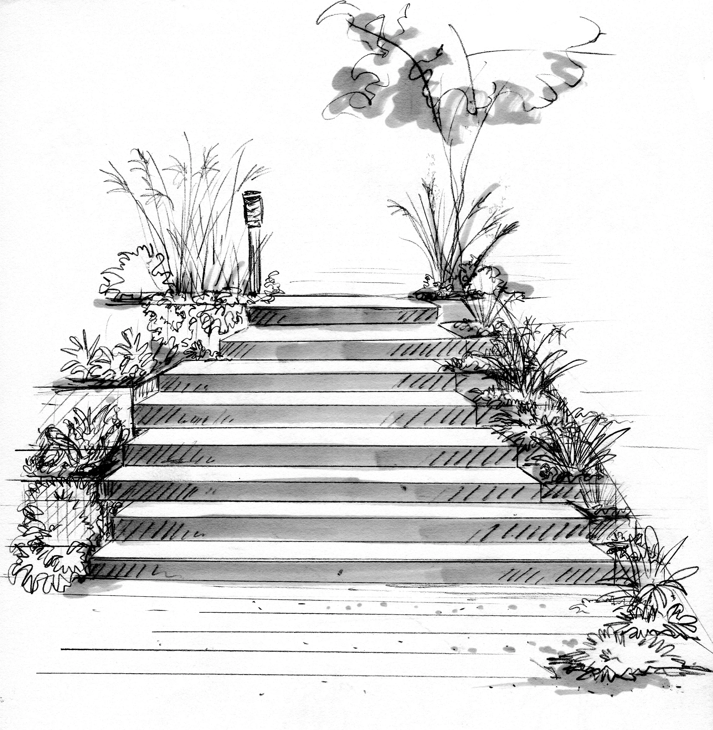 Lilli Pilli - Steps sketch.jpg