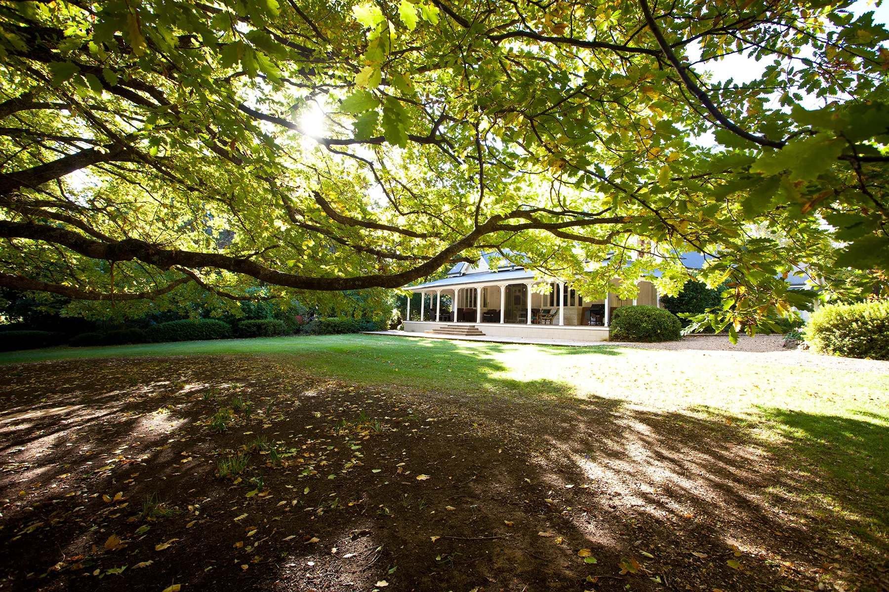 Withycombe_Big Country_2.jpg