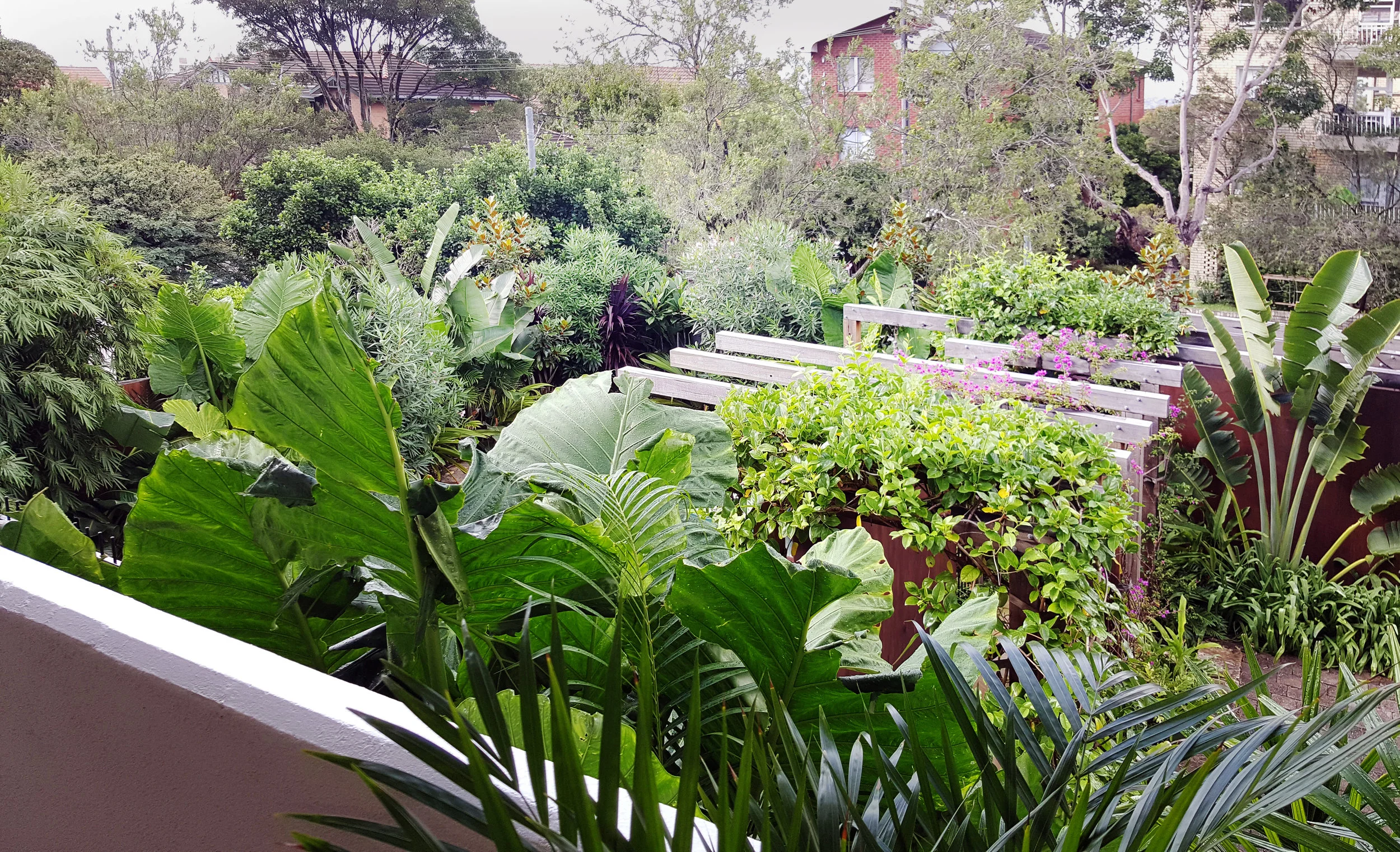 Cremorne After 6 - colour.jpg