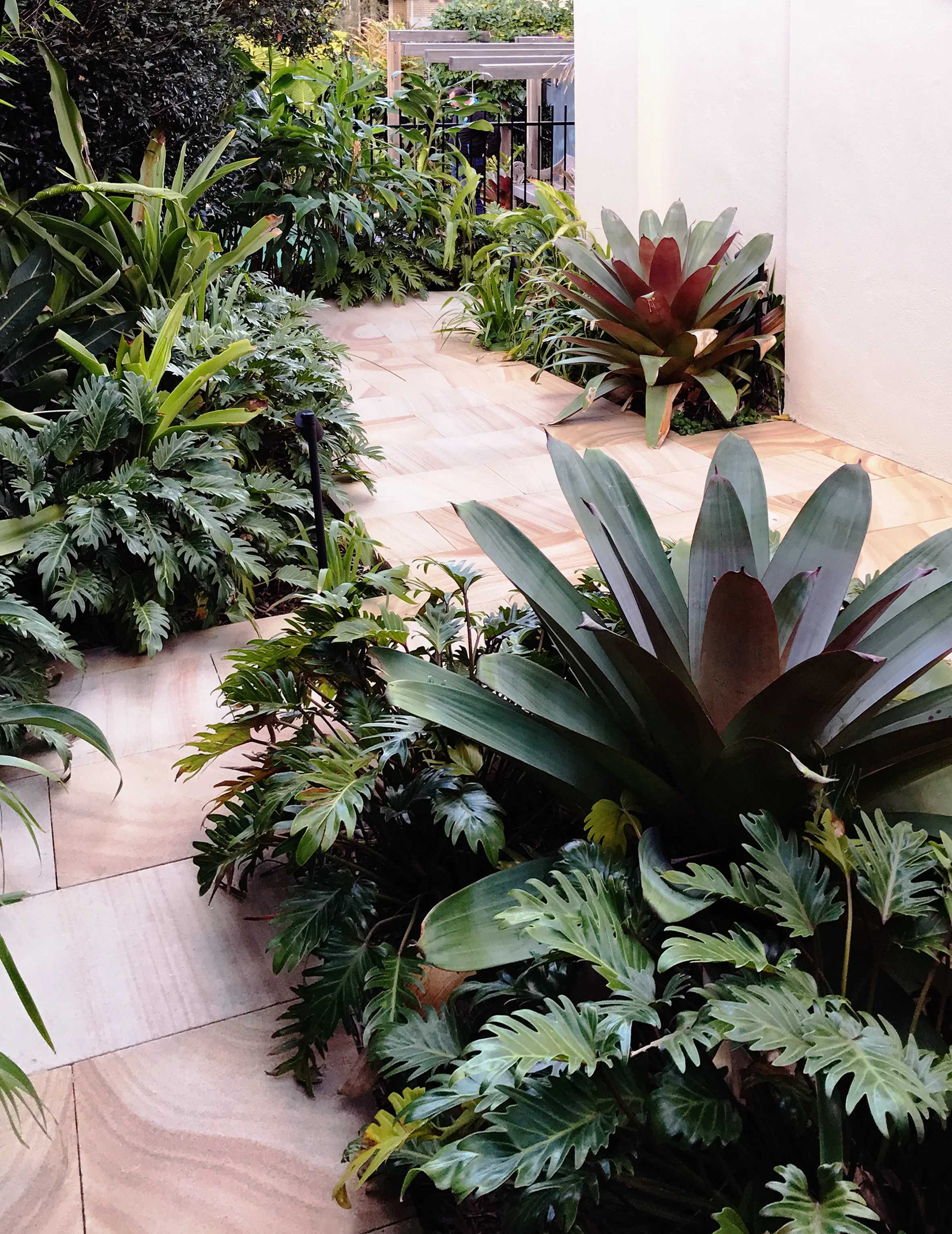 Cremorne After 1 - colour.jpg