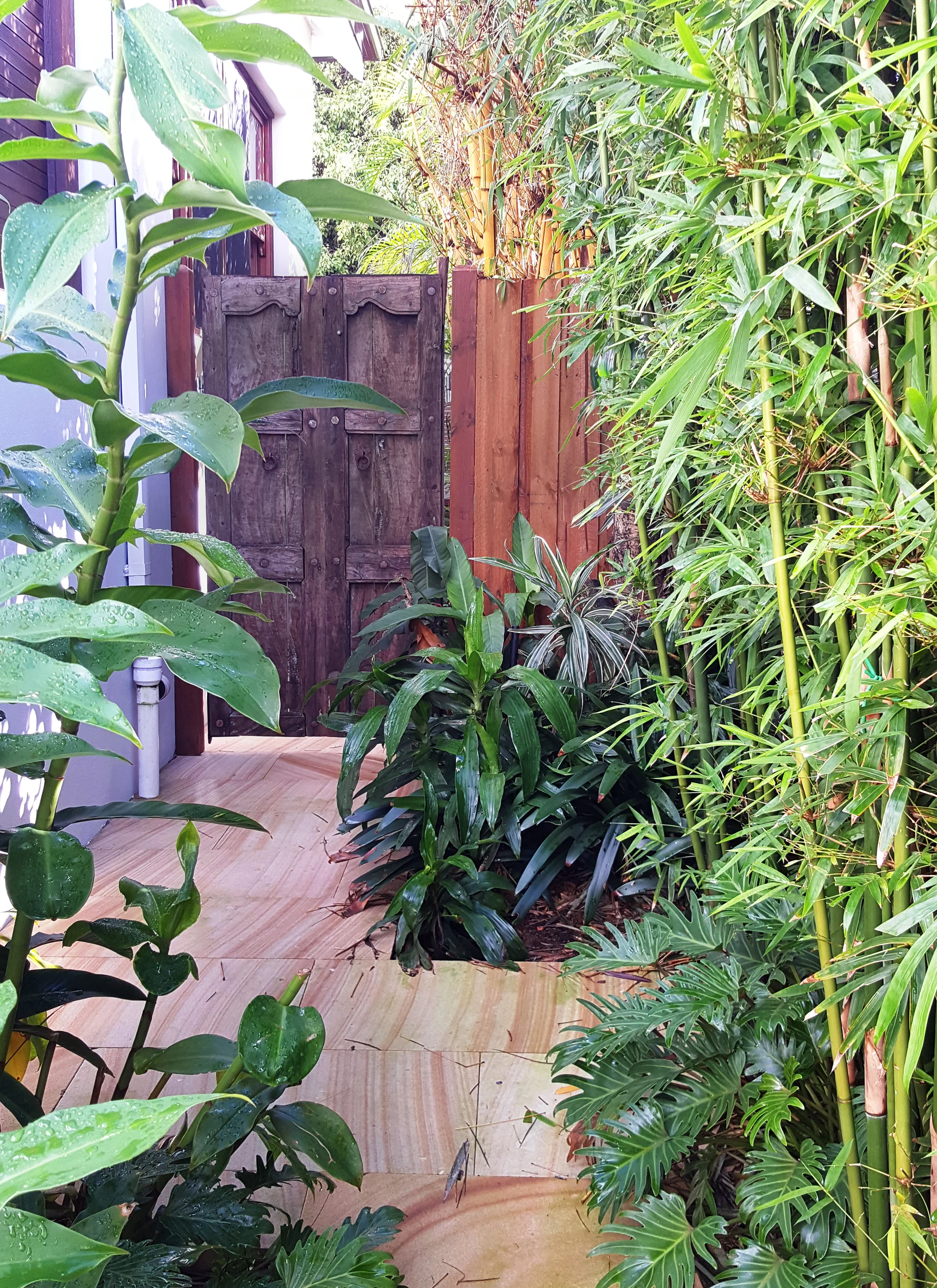 Cremorne After 8 - colour.jpg