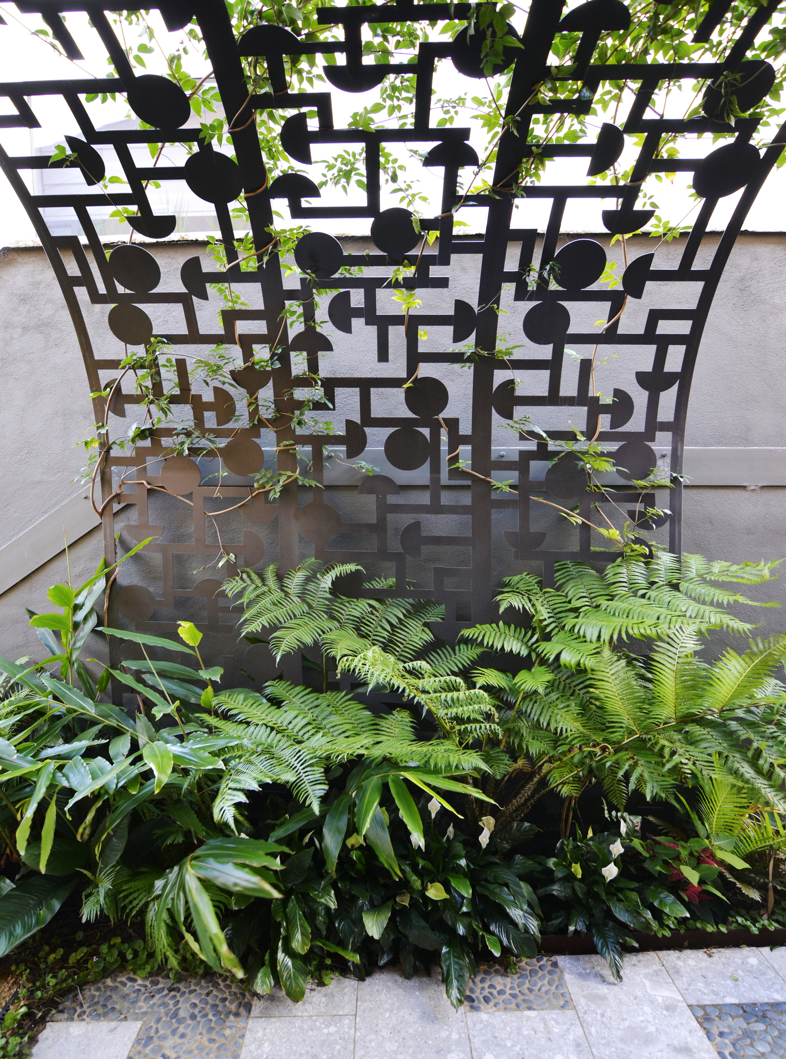 _DSC0100 - colour.jpg