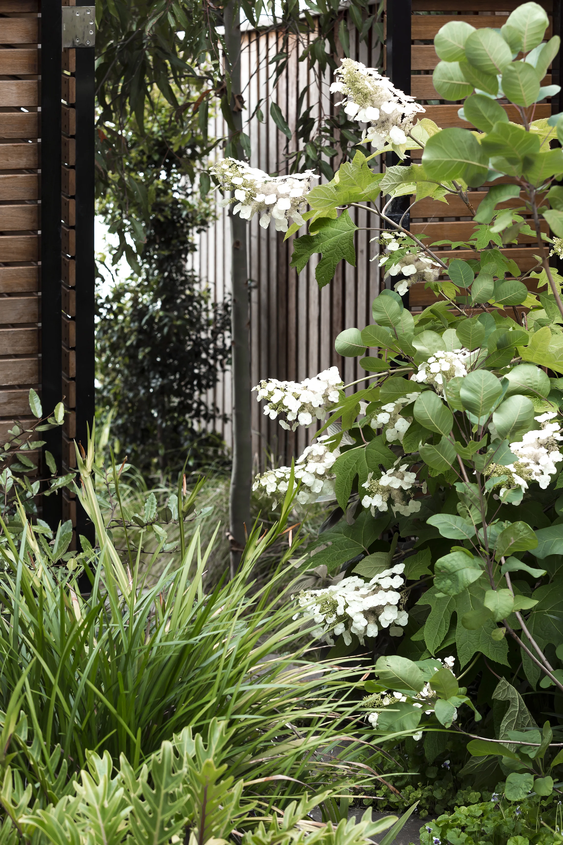 ST_THOMAS_ST_CLOVELLY_000236 - walk this way - colour.jpg