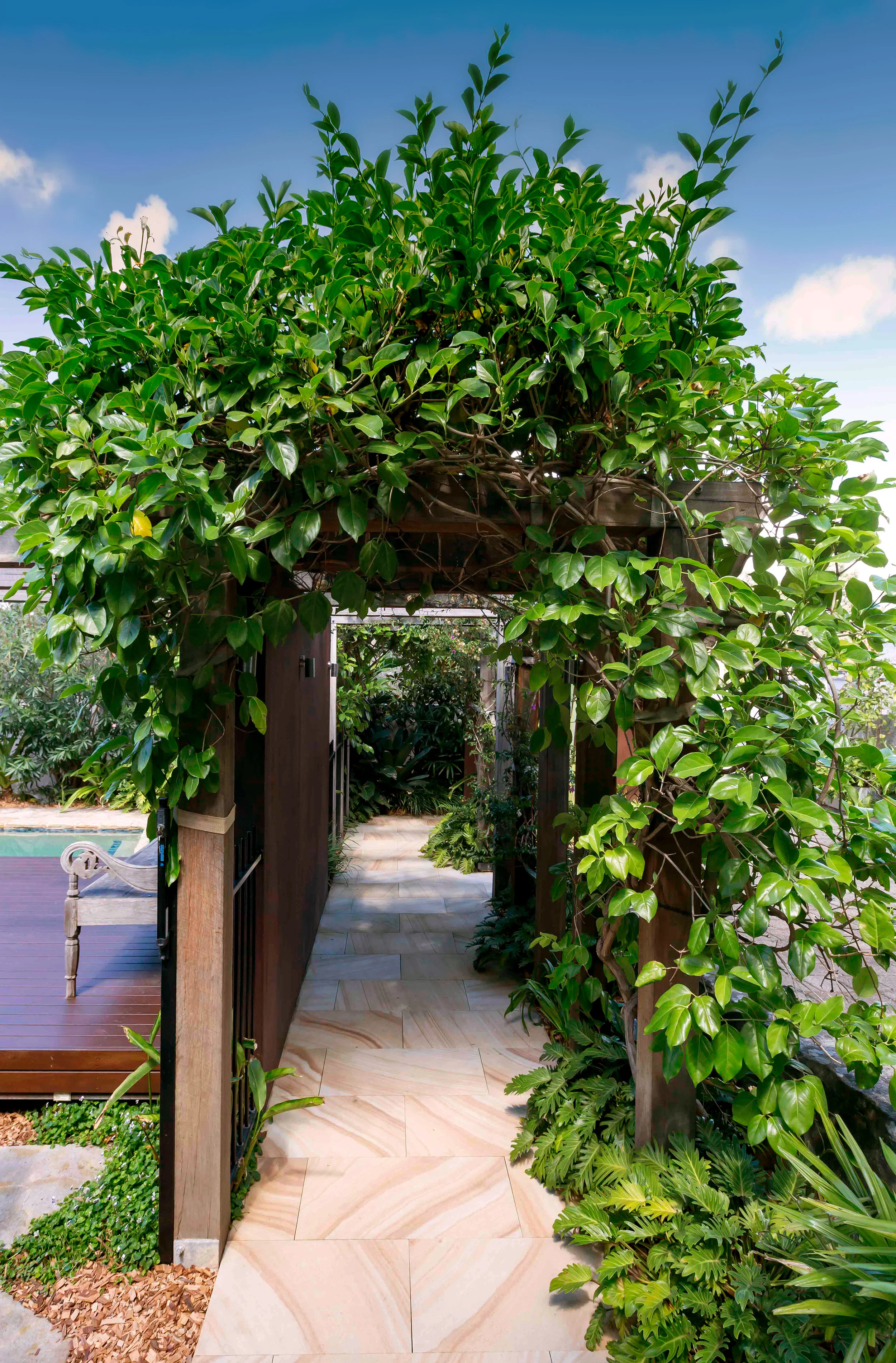 Cremorne After 10 - colour.jpg