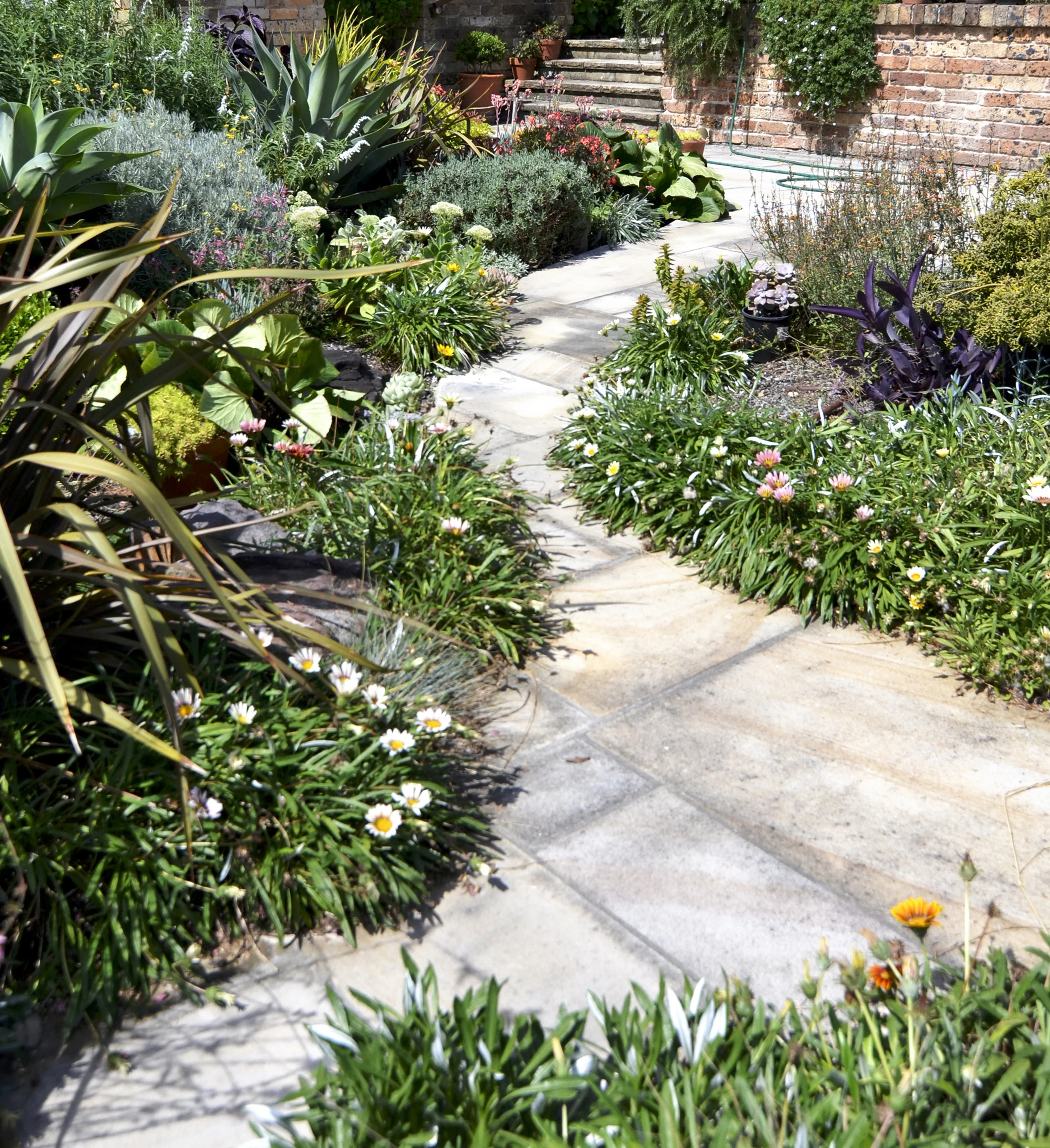 Walk Rose Bay_DSC0024 crop.jpg