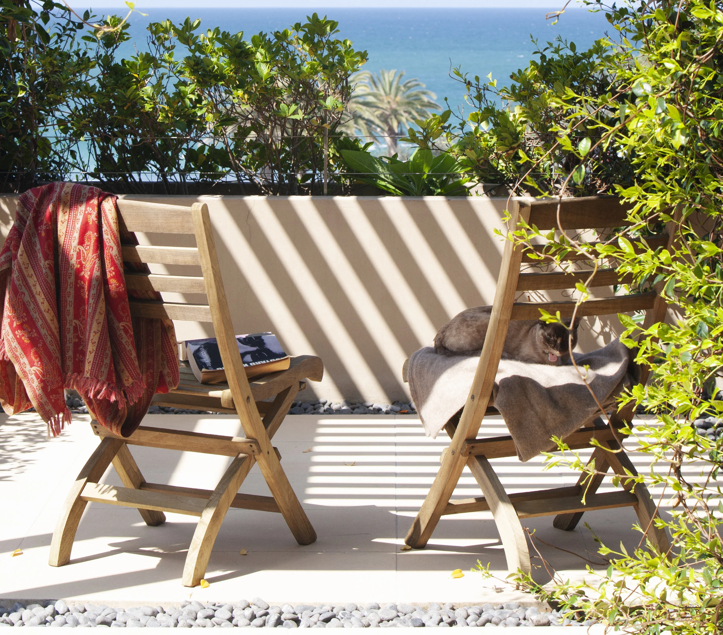 Bronte - cover BL_100922_1468.jpg