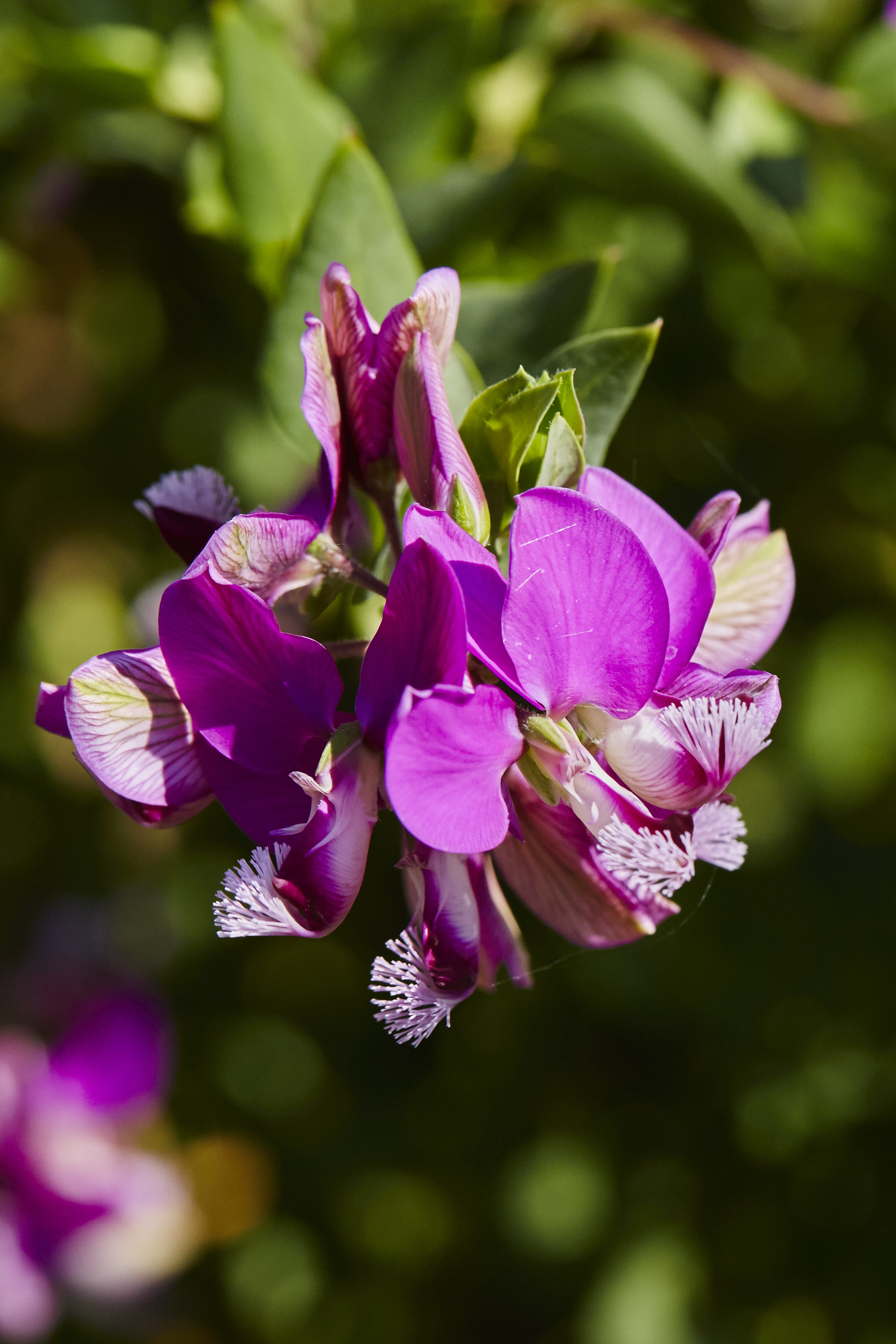 LandsbergBronteLewisStevensonPhotograpy 38.jpg