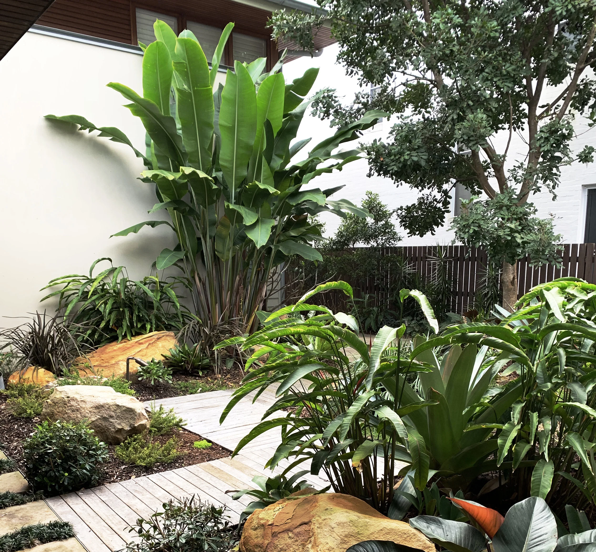 Palm beach after 2.jpg