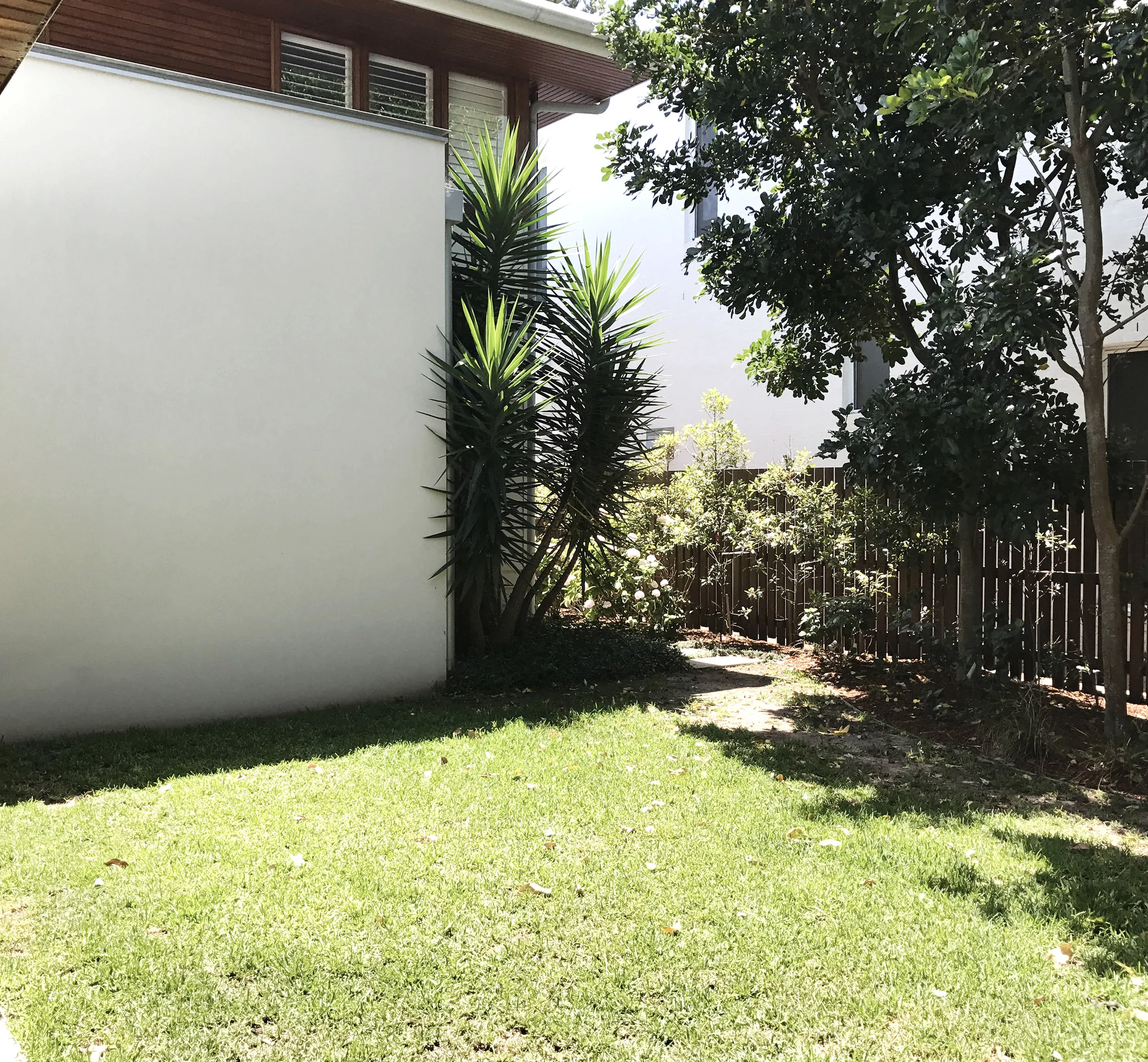 Palm beach before 2.jpg