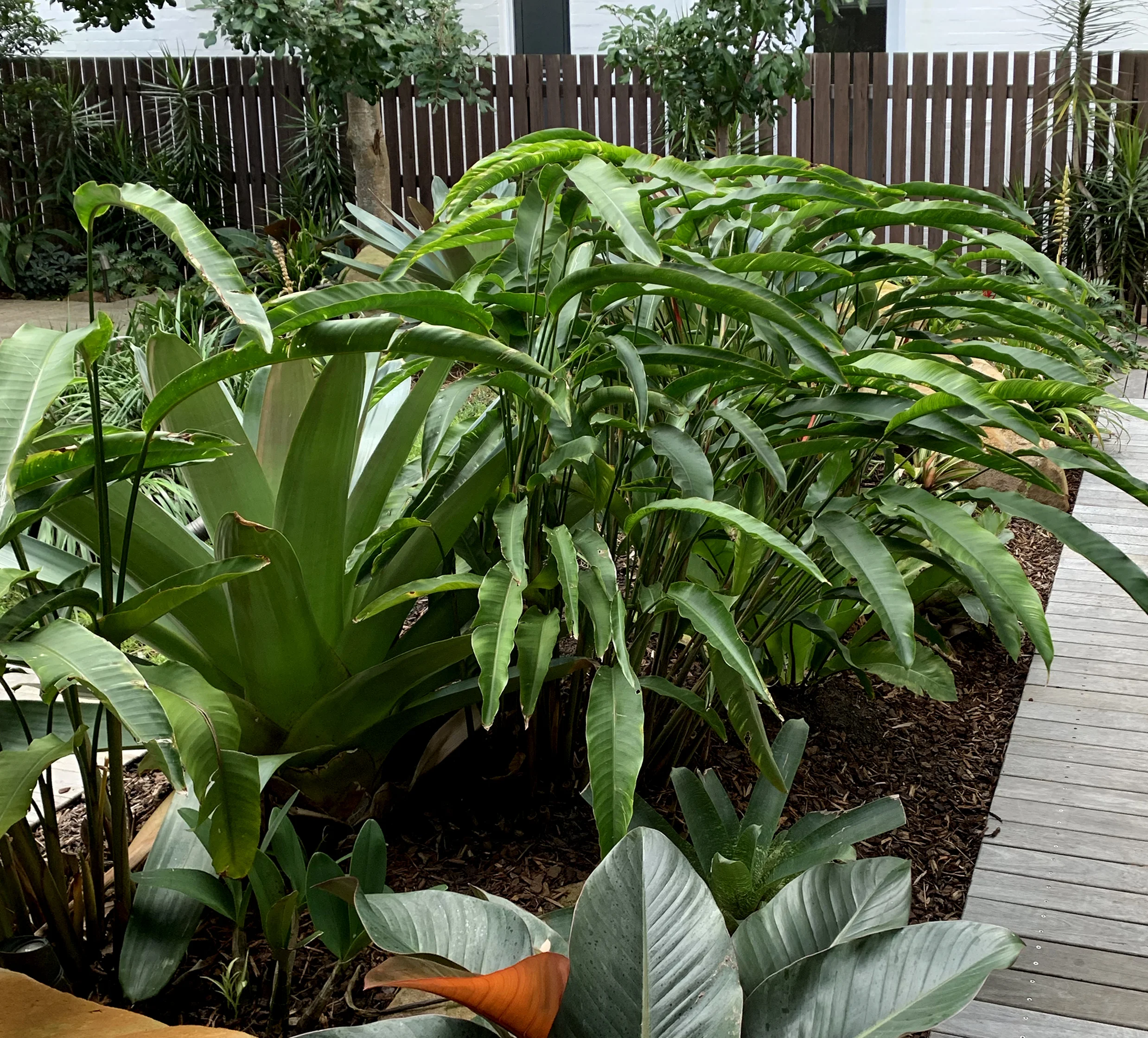 Palm beach after 1.jpg