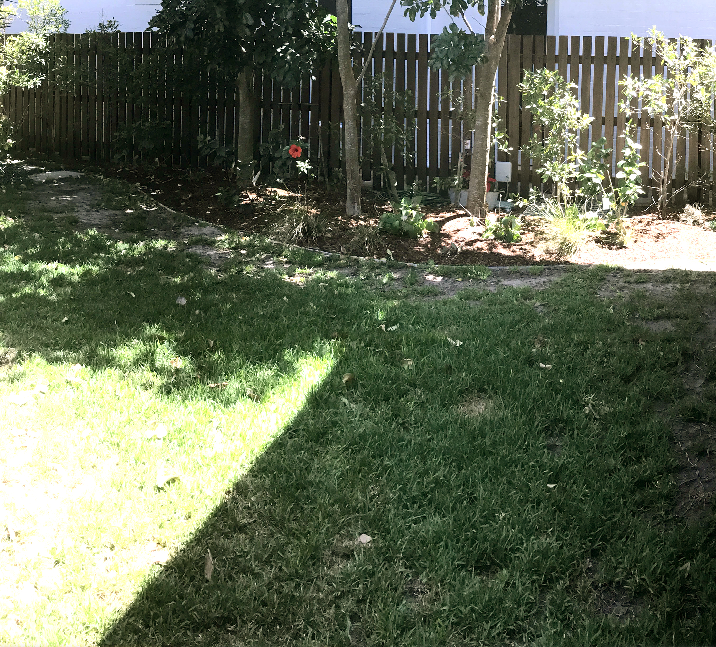 Palm beach before 1.jpg