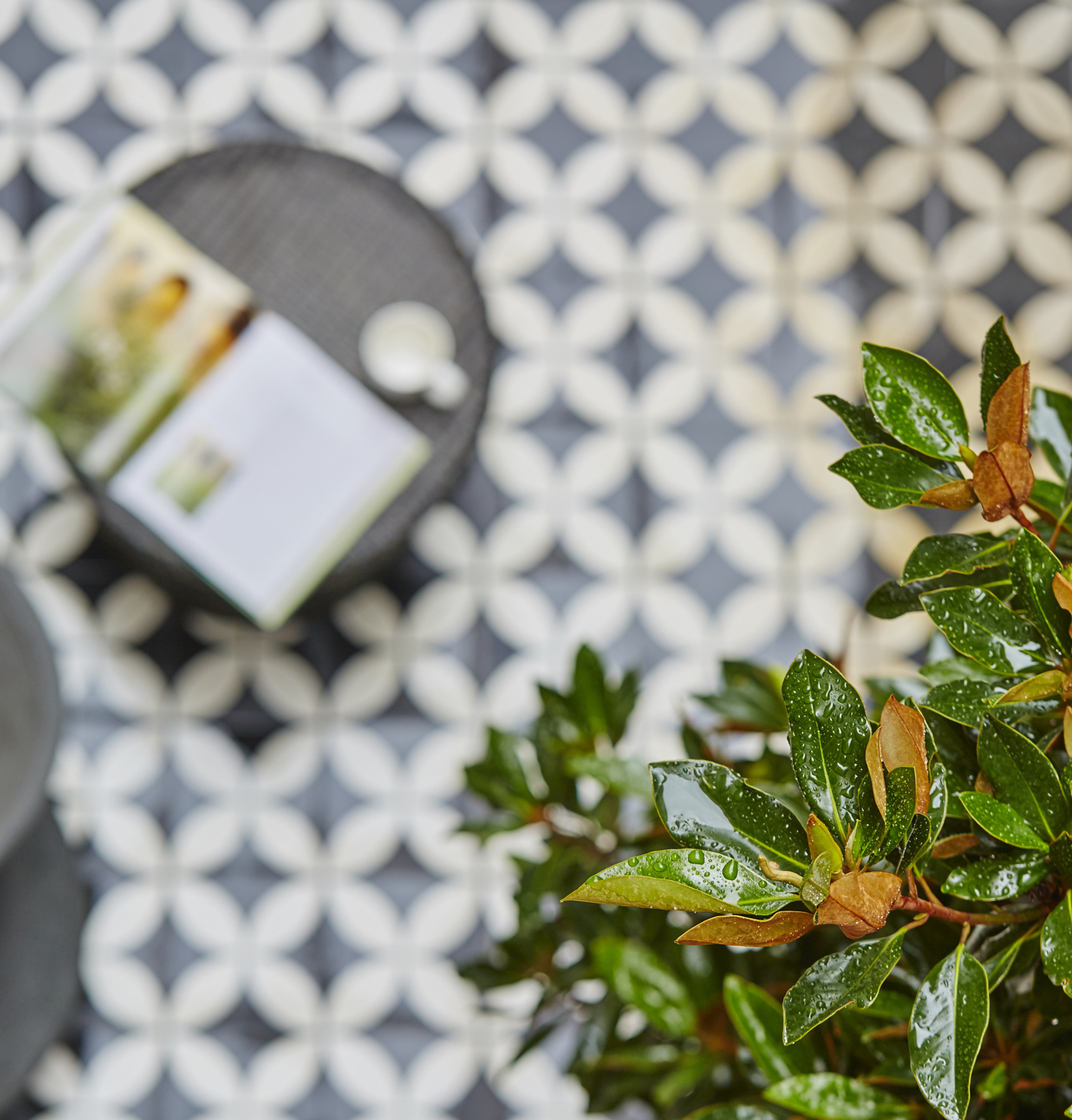 Clippings banner.jpg