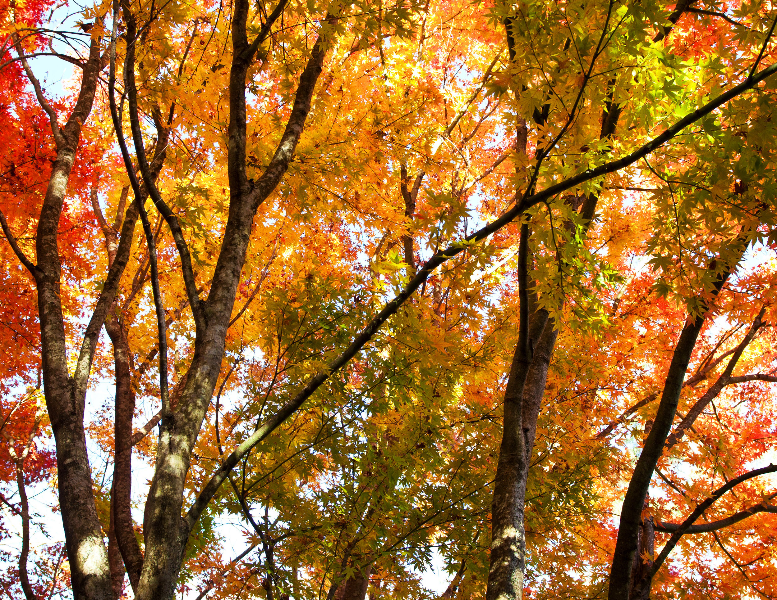 IMG_1002 contact.jpg