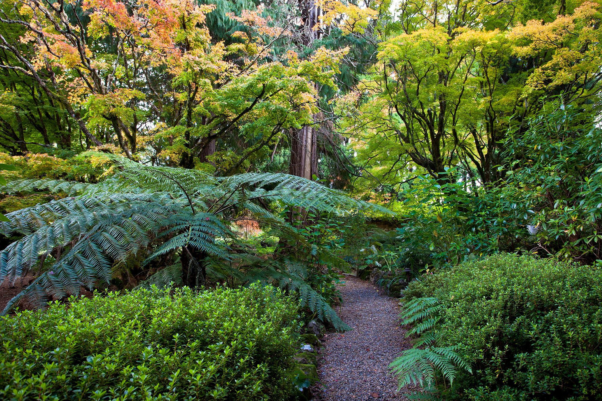 walk_withycombe IMG_1224.jpg