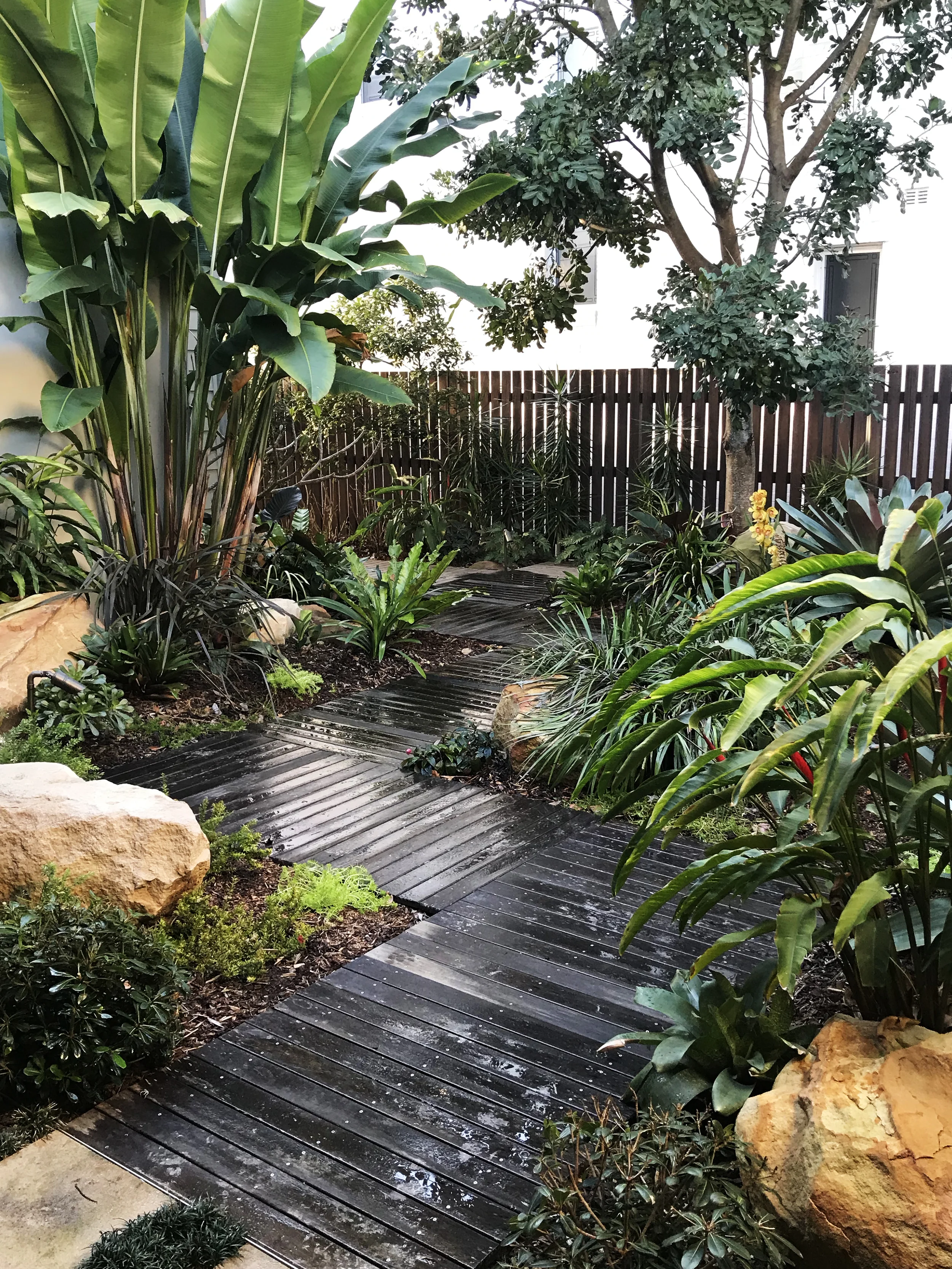 IMG_3707 - colour.jpg