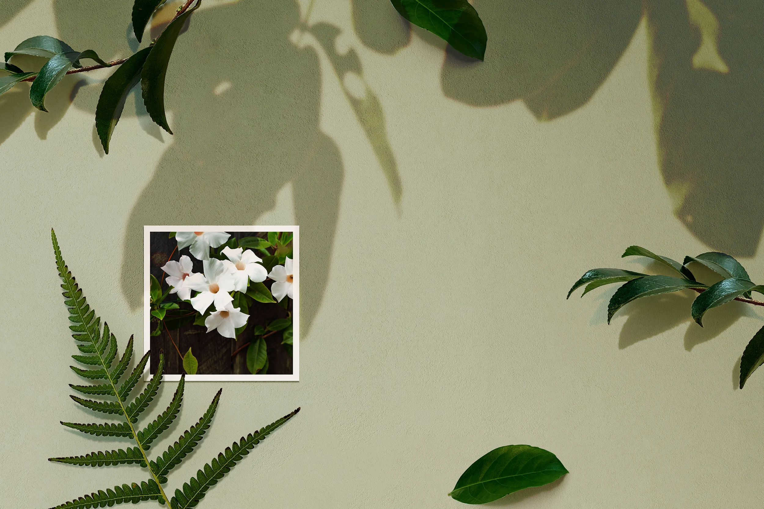 Landsberg Come into the Garden 2019 - green leaves 11 sml.jpg