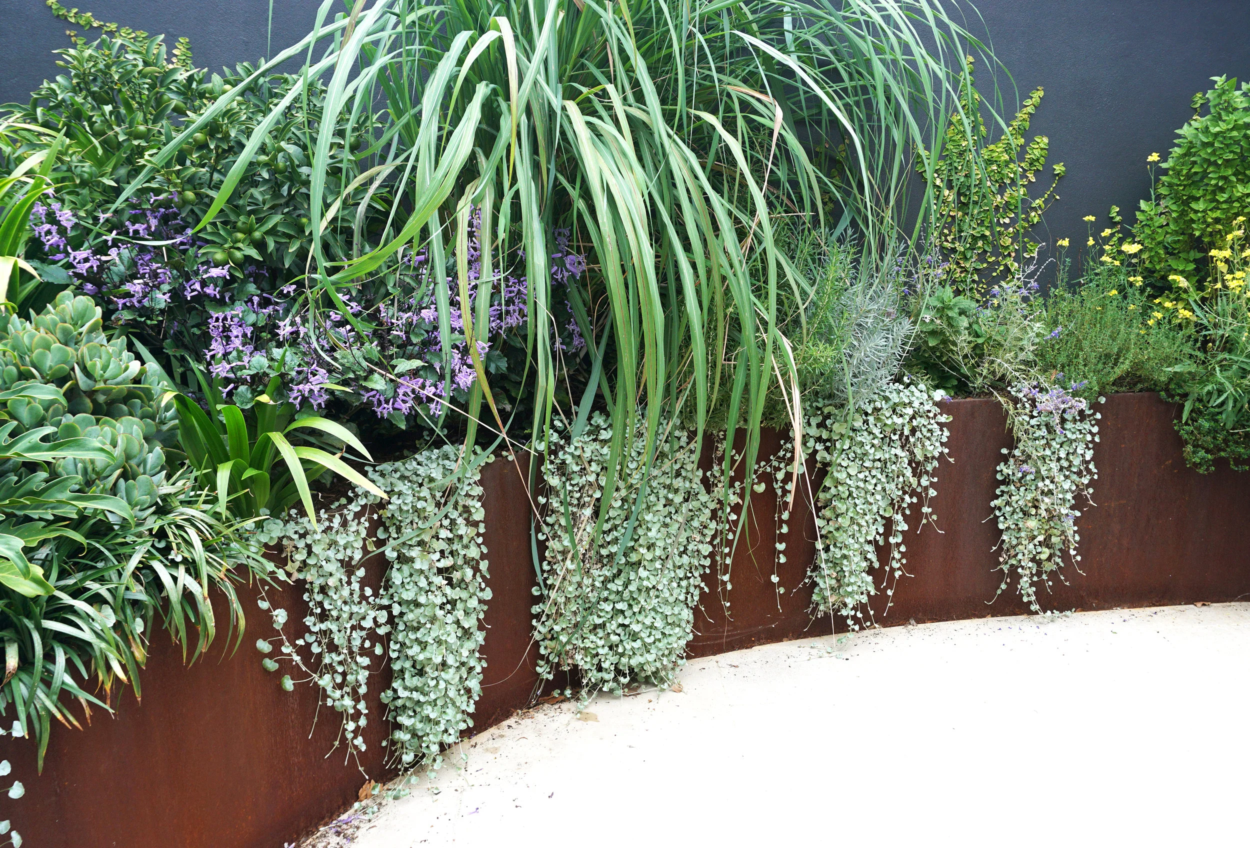 Alexandria 2 - colour.jpg