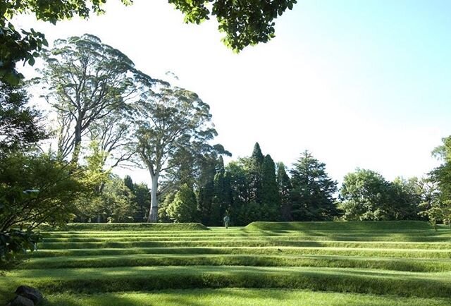 The Amphitheater