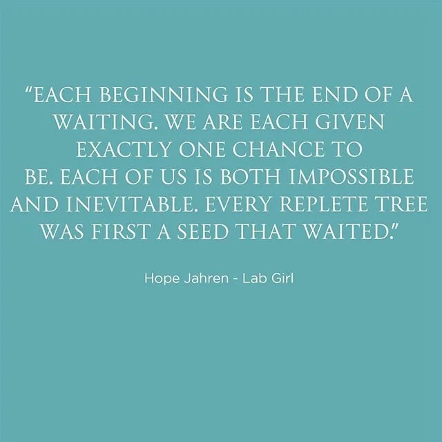 Needing a new plant related read? Hope Jahren’s Lab Girl is wondrous mix of botanical explanation, insight and humorous autobiography. .
.
.
- studio book recommendation by Cherith 
#labgirl #hopejahren #plantread #botanyaddict