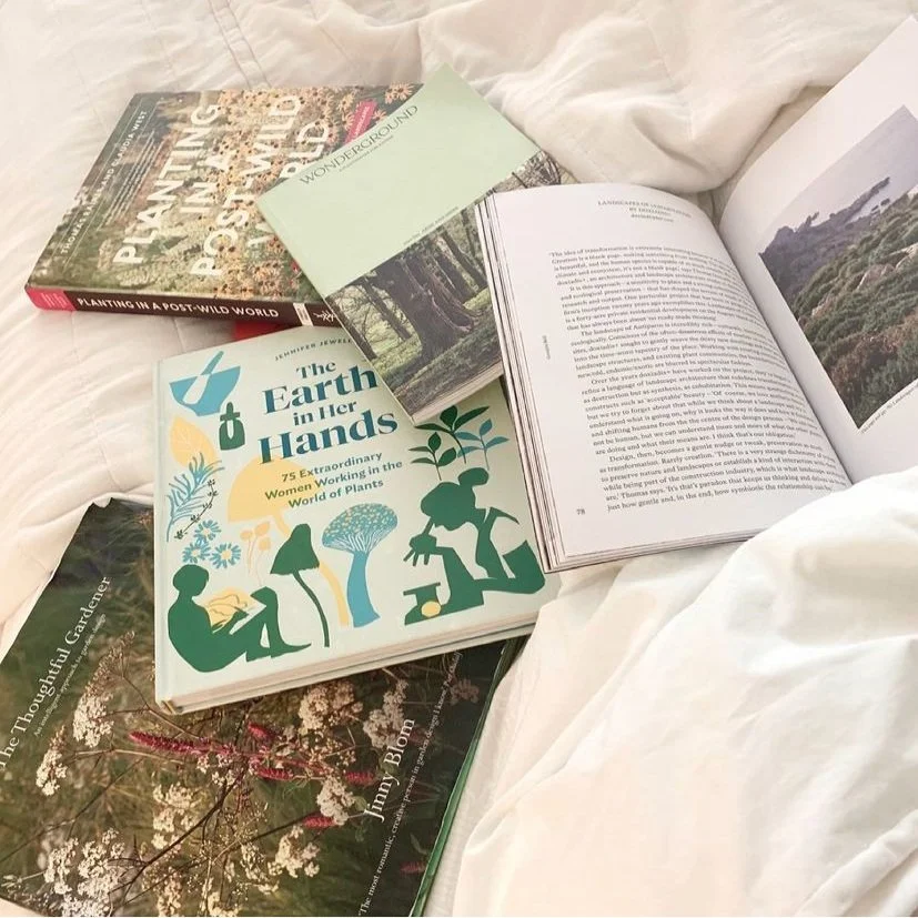 Holiday reads from us to you