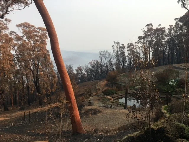 Fire area where the boule court and gabion courts were added.JPG