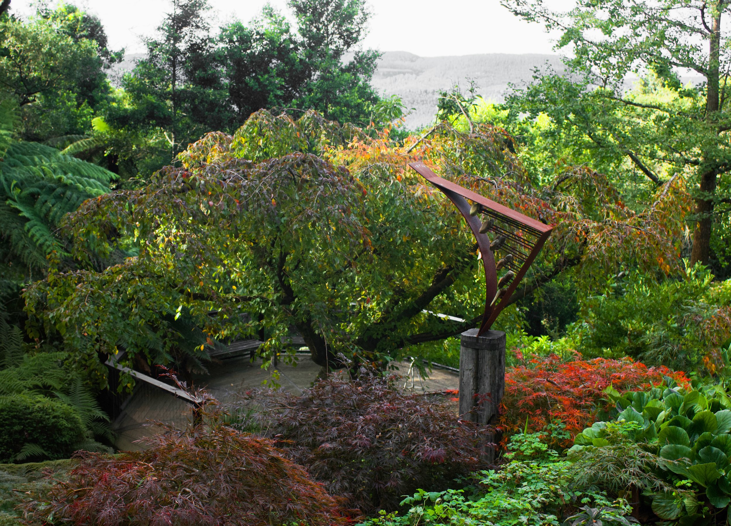 fern deck and sculpture.jpg