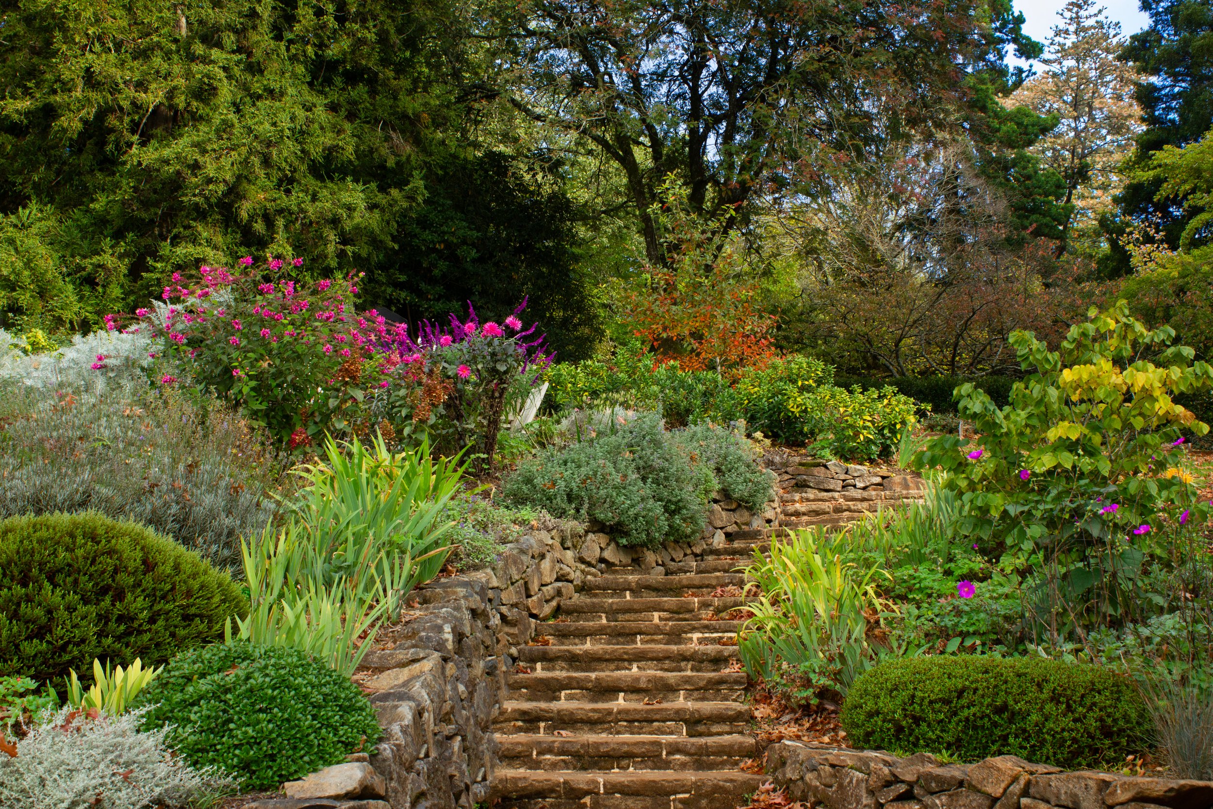 flowers and steps.jpg