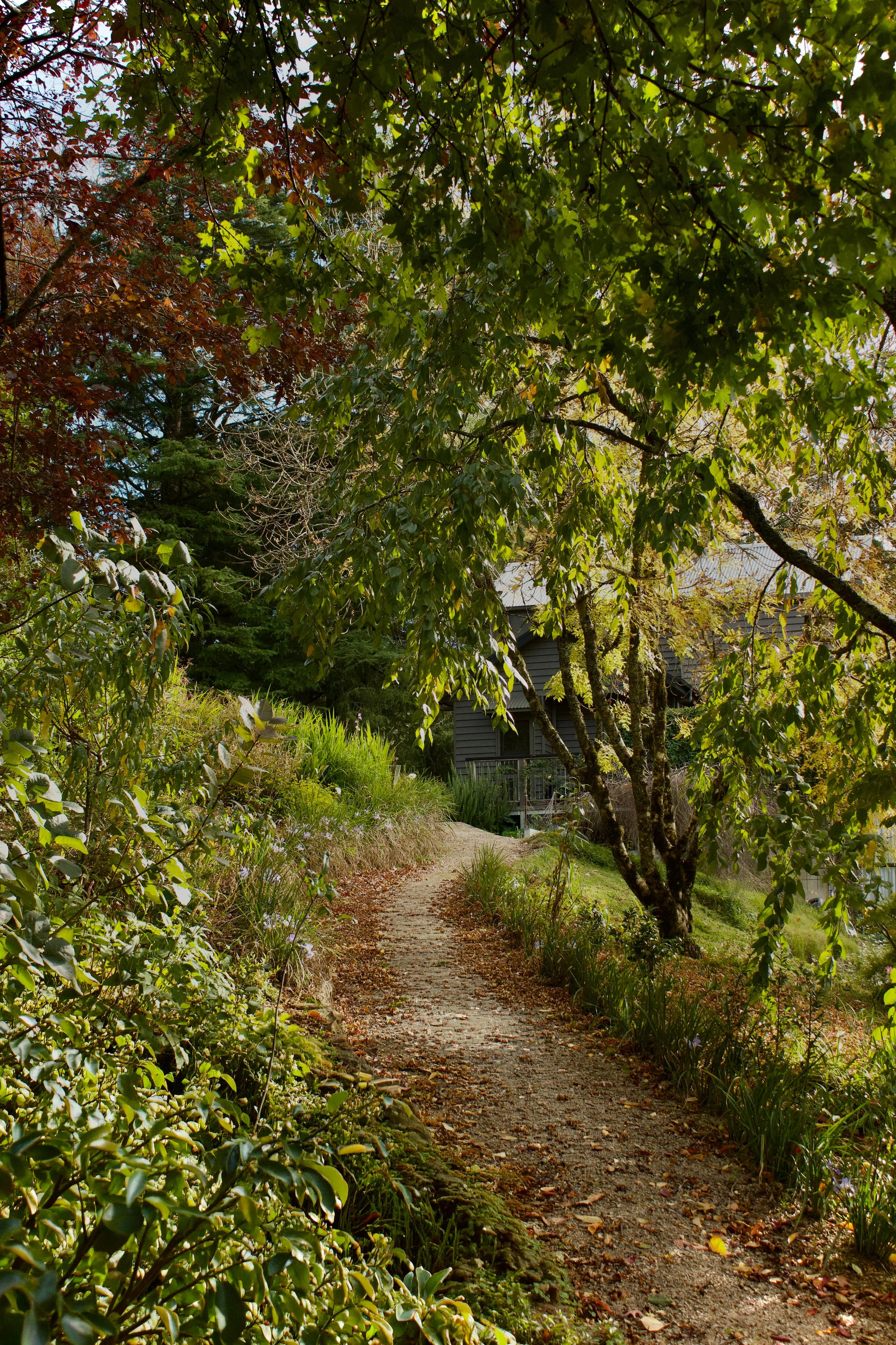 garden path.jpg