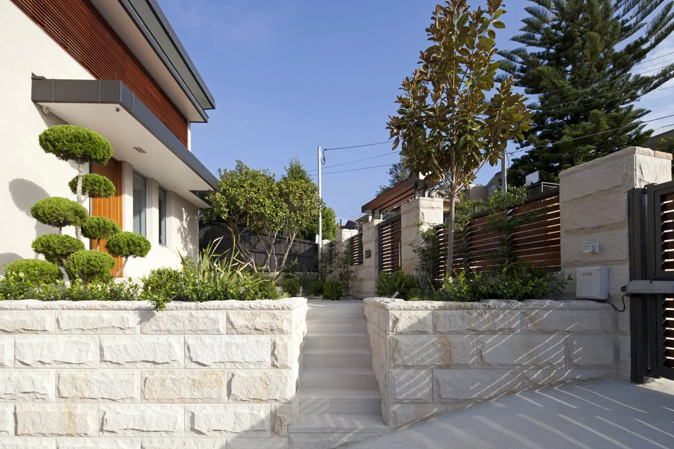 Vaucluse - Plants.jpg