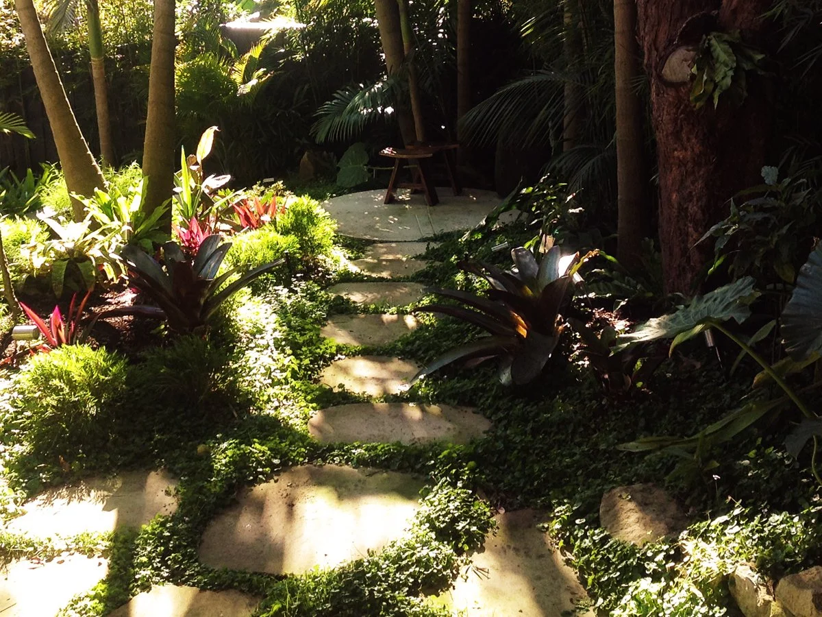 Pathways_VAUCLUSE_half.jpg
