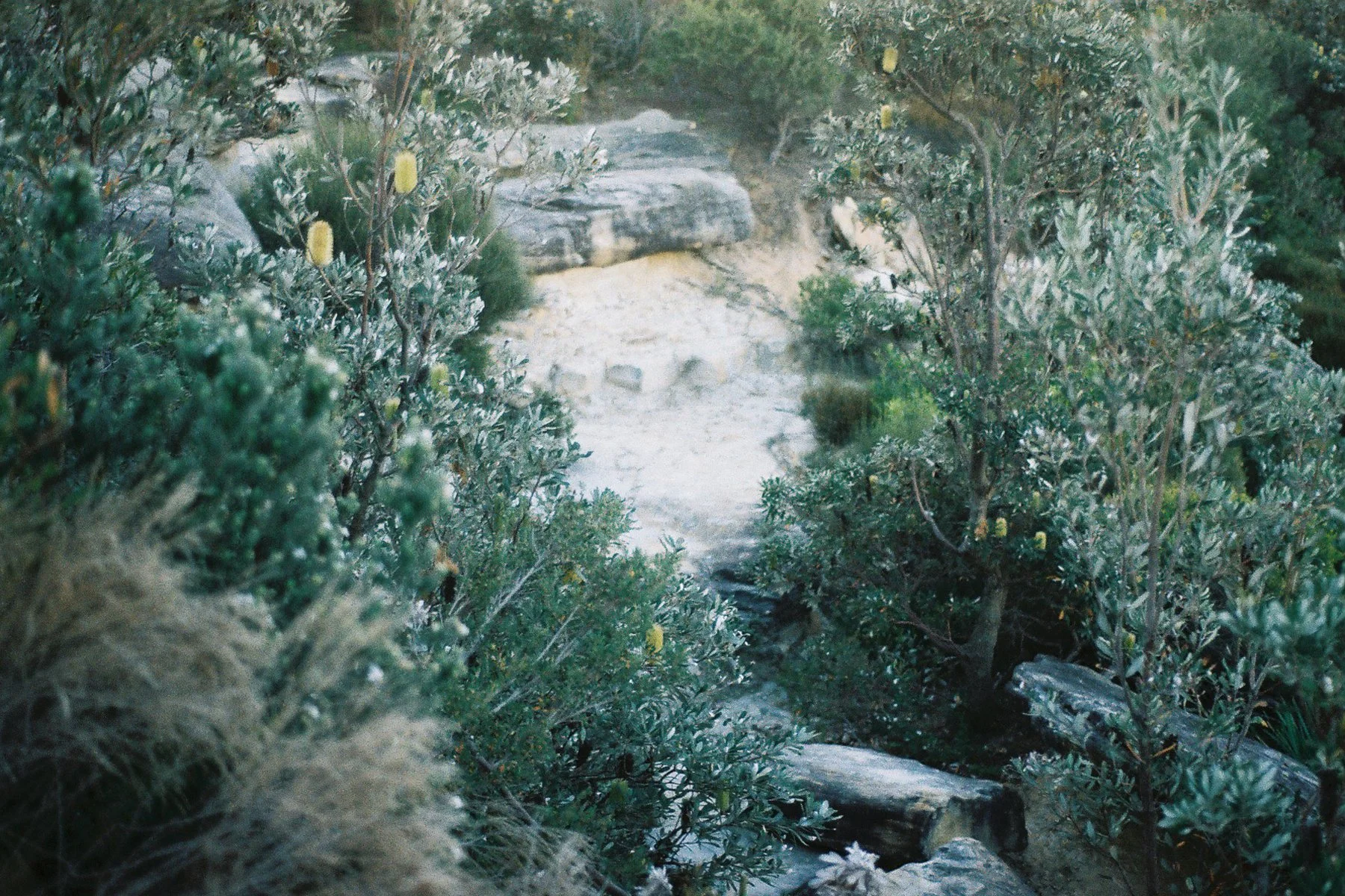 000024 2.JPG