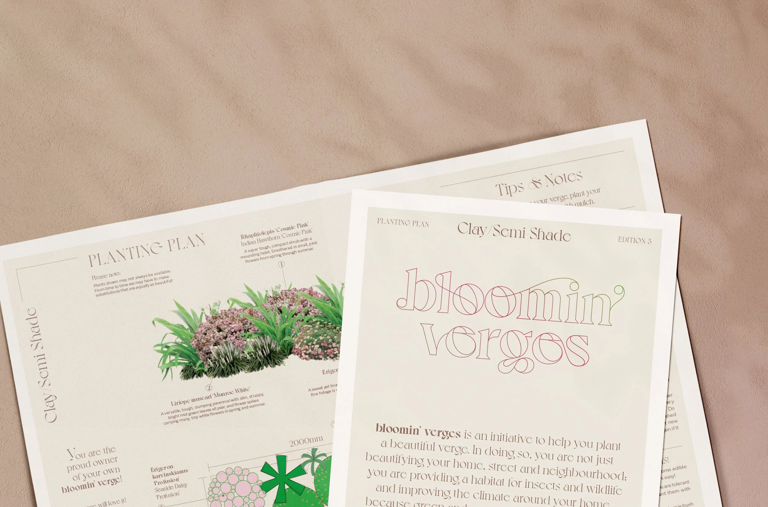 Clay/Semi-Shade Planting Plan