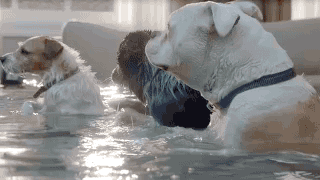  Farmers Insurance "Hall of Claims" Campaign