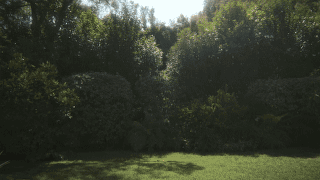 Xome “Transparent House”