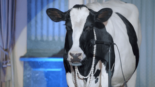 Real California Milk “Matchmaker”