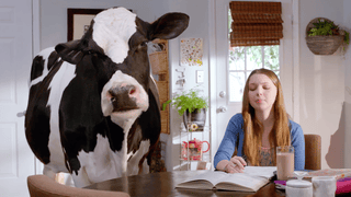 Real California Milk “Friends” Campaign